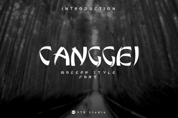 Canggei Display Font for Editorial Design Projects