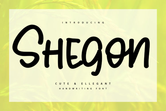 Shegoon Font: A Professional Display Typeface for Creative Branding